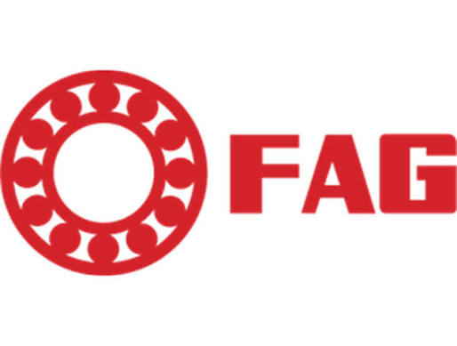 FAG Bearing